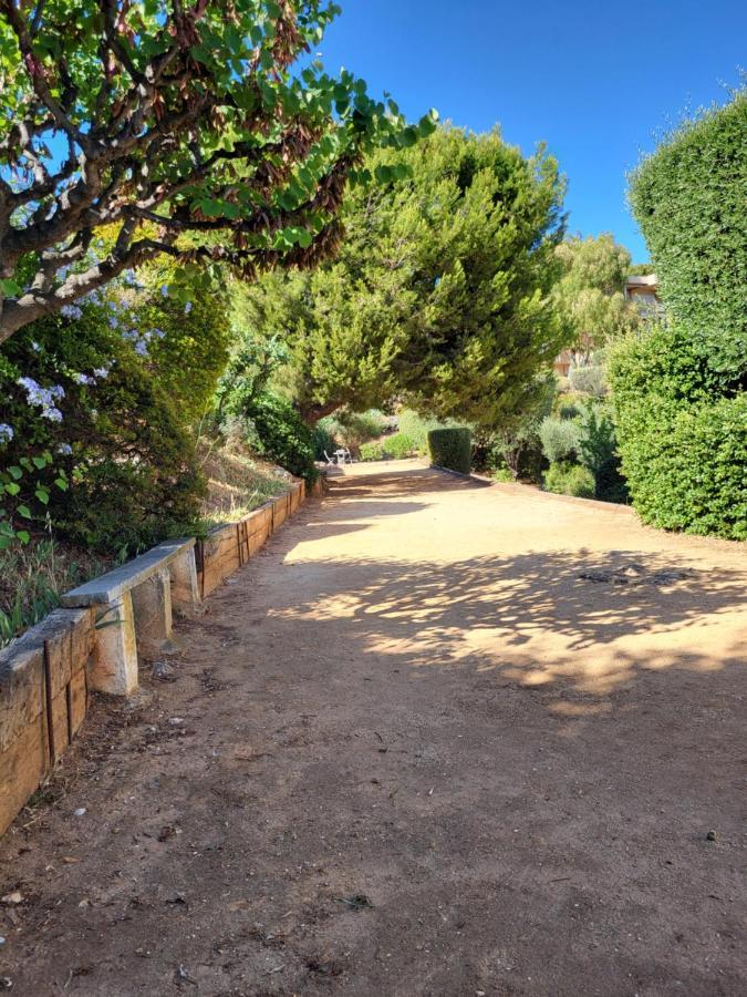 T2 Plage De Sable A 300M+ Parking Gratuit Bandol Eksteriør billede